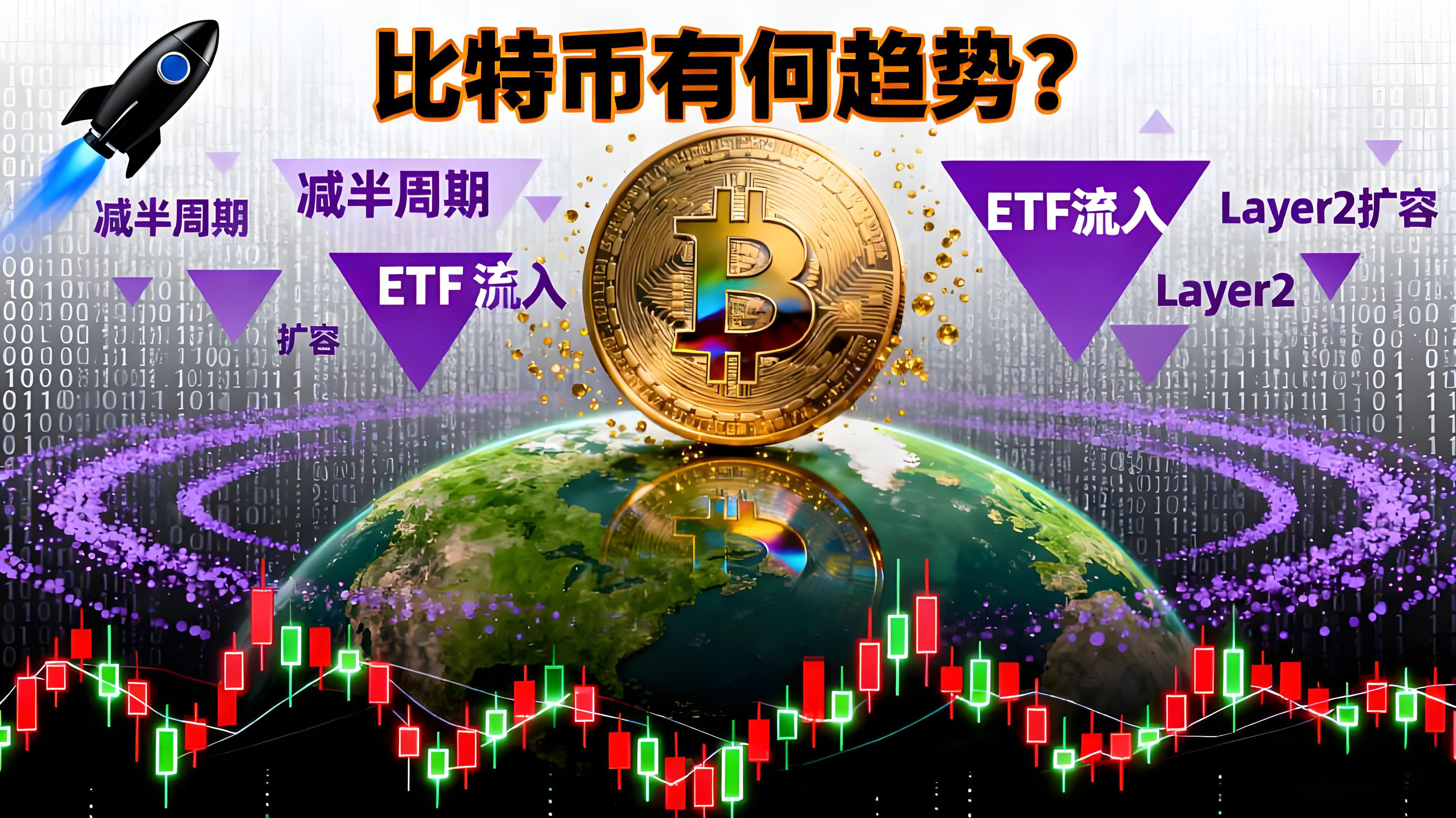 比特币二十年投资者有哪些趋势？